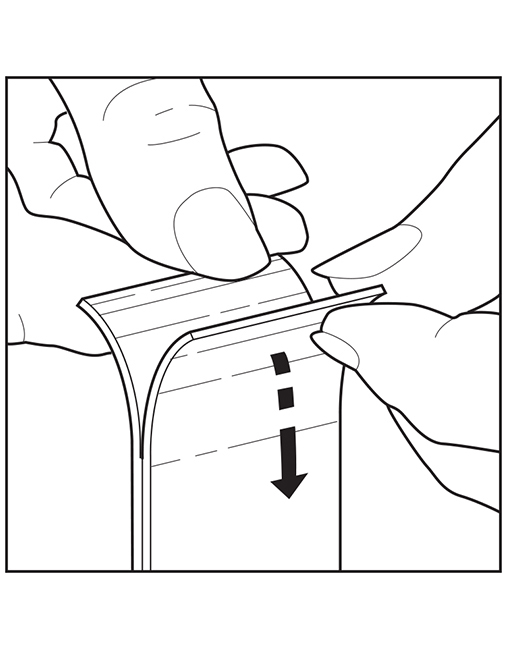 Ghosted View of Internal Components